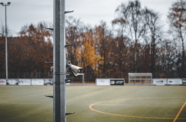 定性影響力 定性影響力