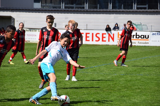 竞争对手 竞争对手