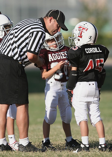 老将的继续 老将的继续