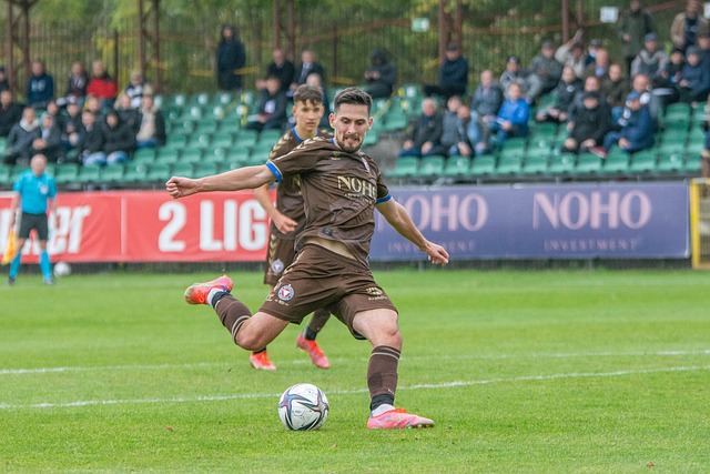 经成为必不 经成为必不