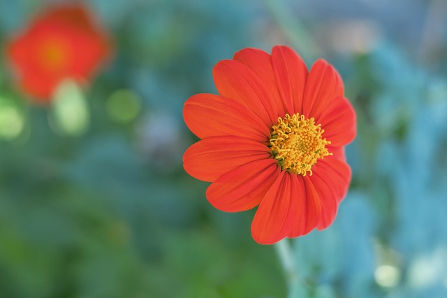 【原创】2月4日亚冠联赛推荐：利雅得胜利VS华斯尔.