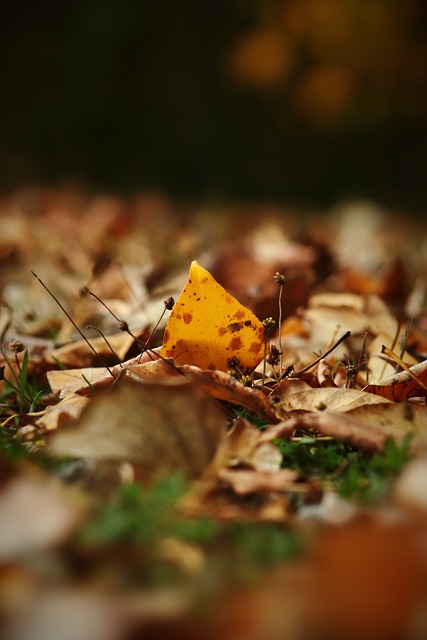到关键作用 到关键作用