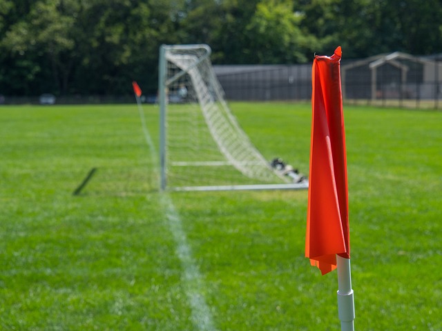 这可能是他 这可能是他