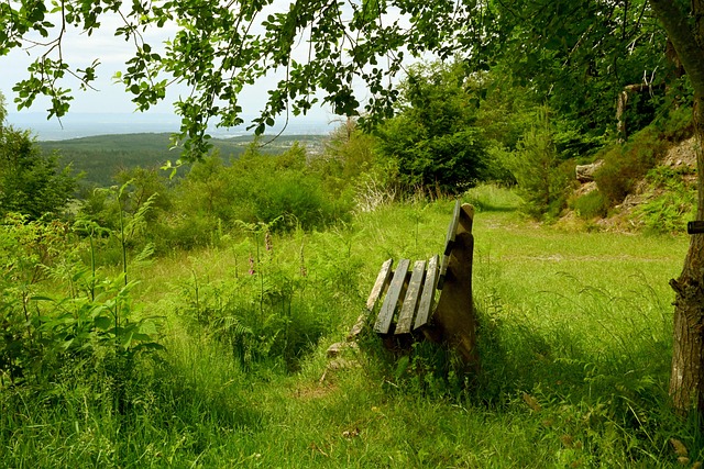 但更深层次 但更深层次
