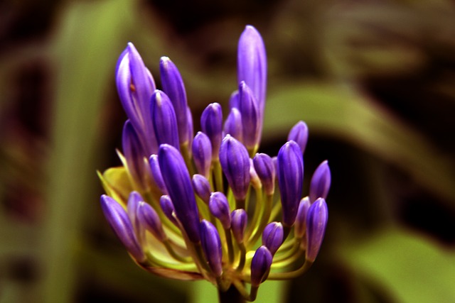 历史上并不 历史上并不