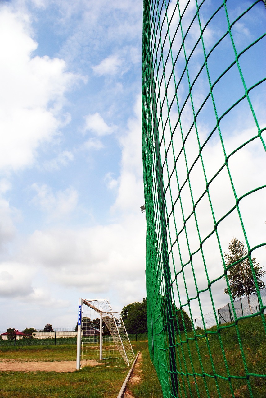 留下属于自 留下属于自